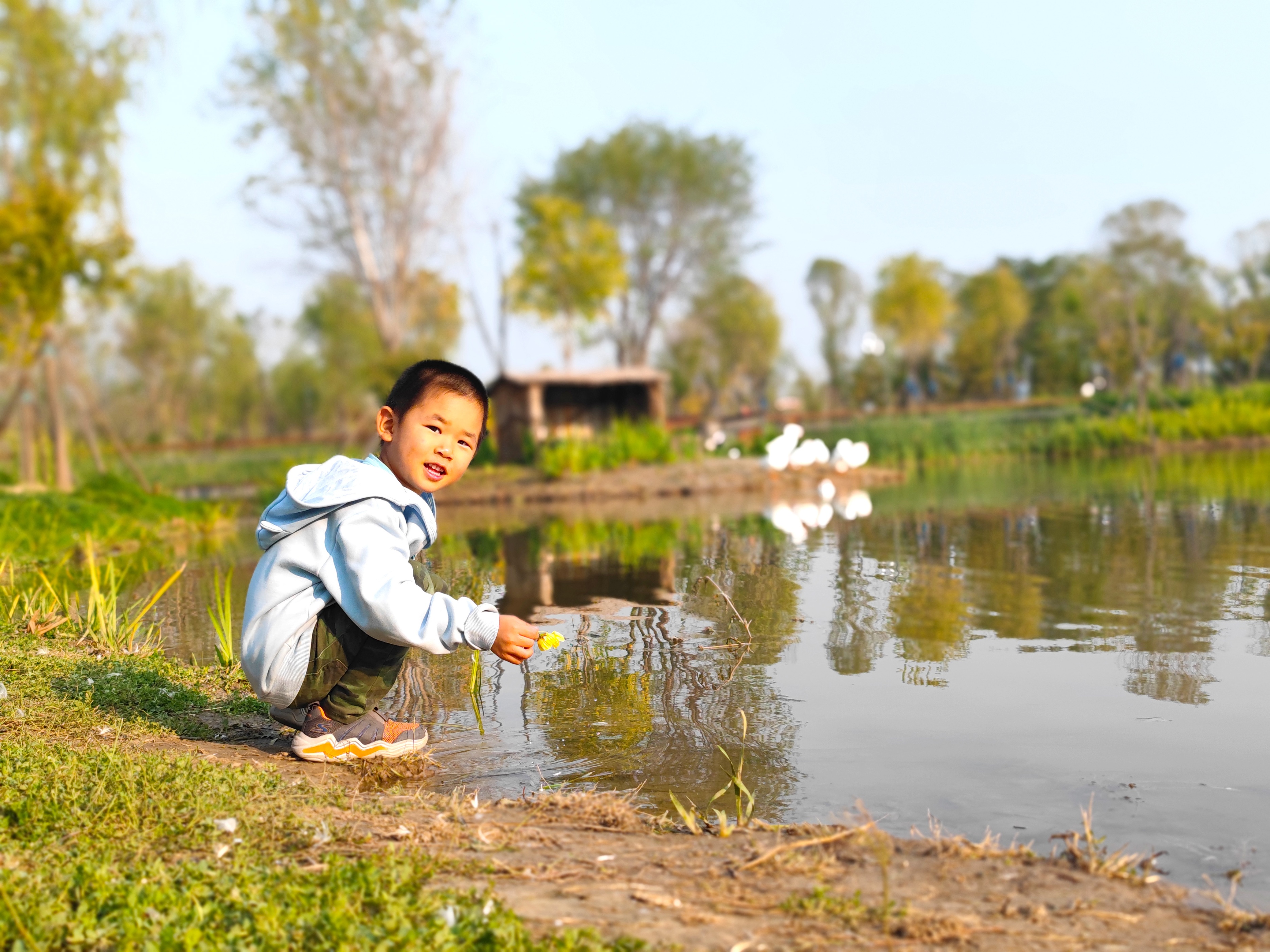 北京最值得去玩的自然风景公园,北京巨型公园免费景点