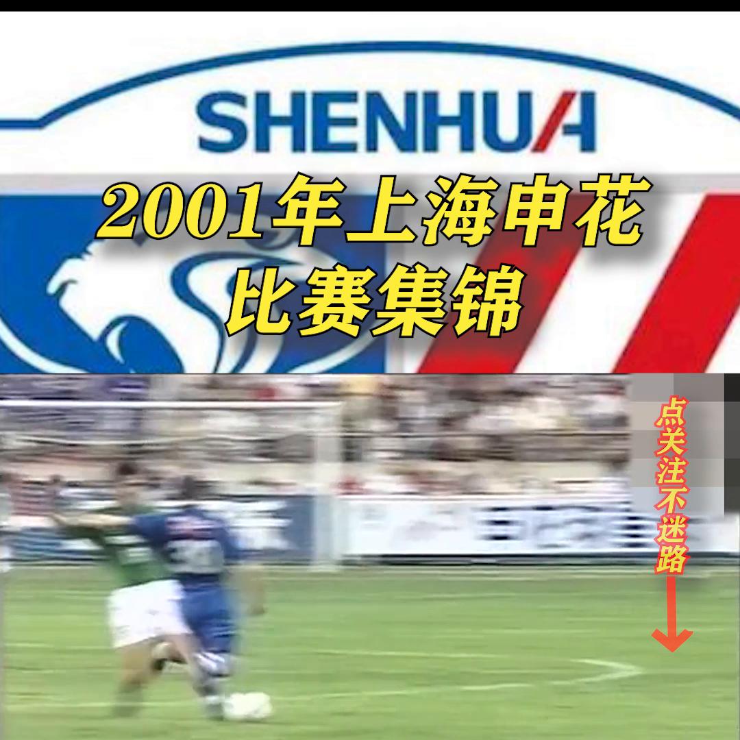 2002年甲a联赛上海申花,1995年甲a时代申花夺冠纪录片