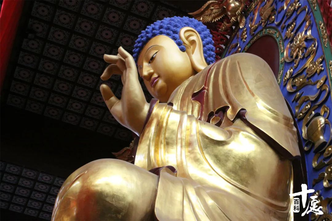 佛弟子如何面对太岁,佛弟子怎么释放情绪