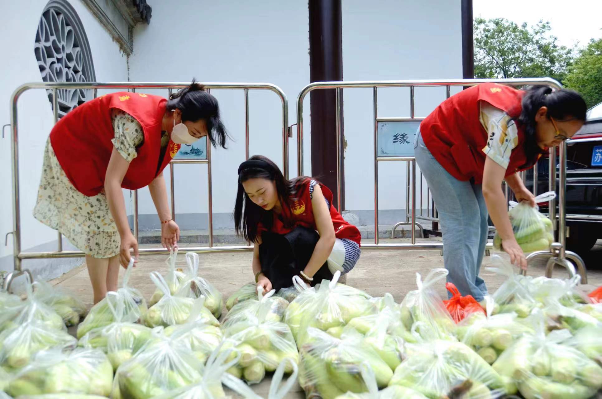 辛巴辛有志带货直播表现亮眼，助农销售玉米1万余公斤