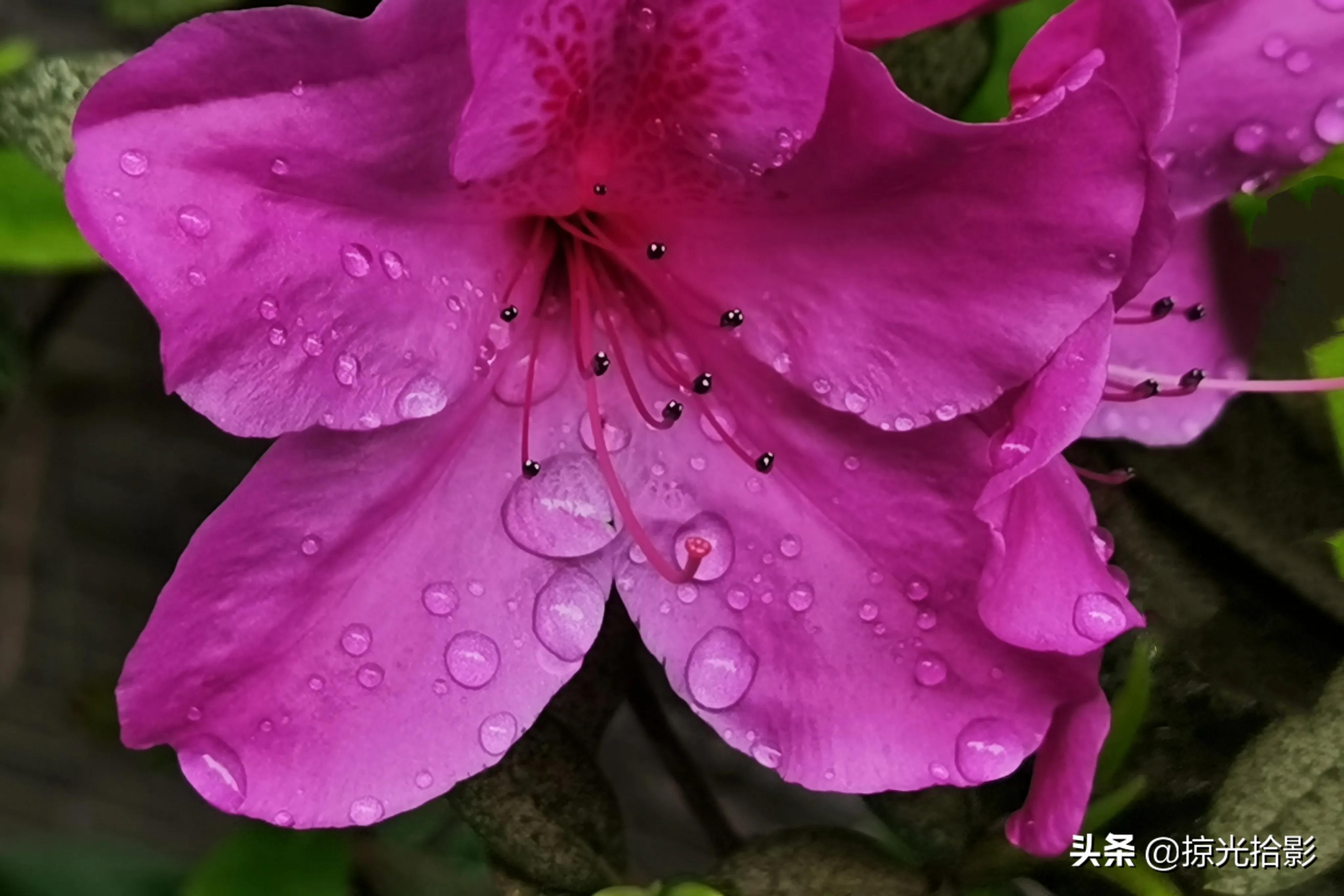 一路相伴此生无憾,缘分相伴此生无憾