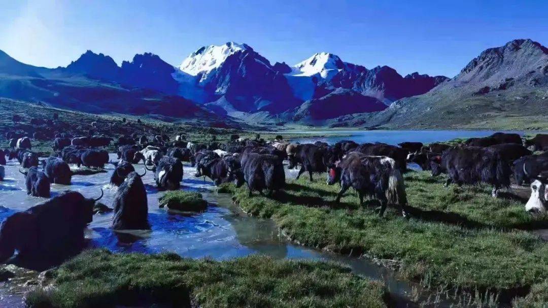 雪山下的某个小镇,雪山下的梦幻球场