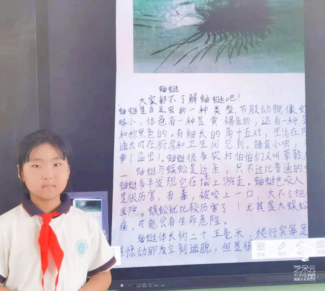 包头团结大街第二小学,包头昆都仑区小学