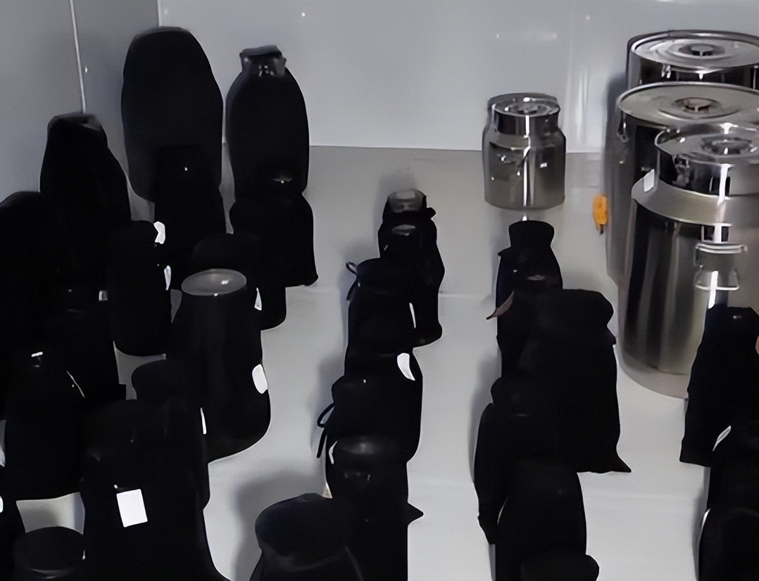 浙江小伙在家种树一斤树叶卖2万,浙江大叔种树赚大钱