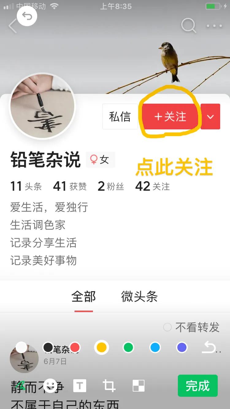 新人*今条头日**粉丝成长攻略:一日粉丝破百妙法!