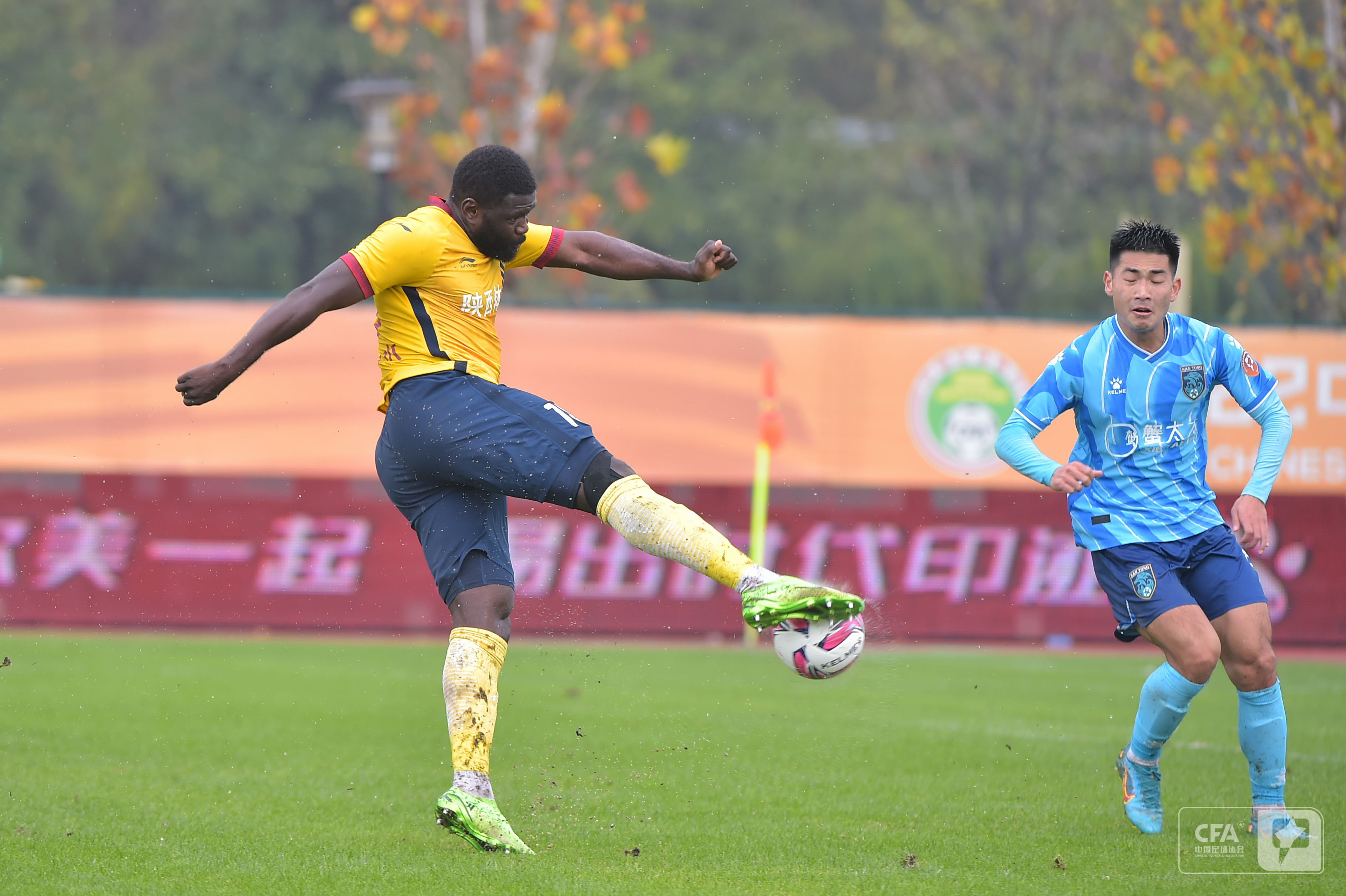 两狼对决,两狼相争剧情