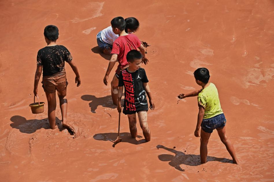 自然里,以青禾育童心——童心小学教育集团成功打造国际自然教育品牌