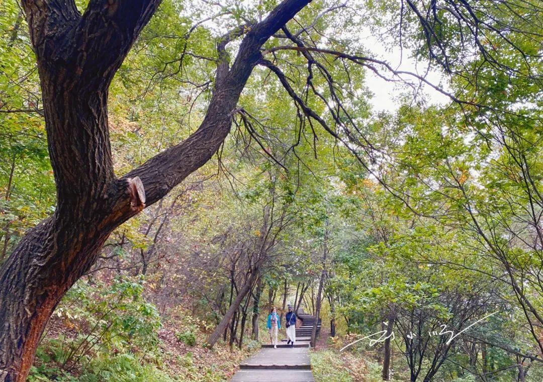 延吉的免费小众景点,游览延吉视频