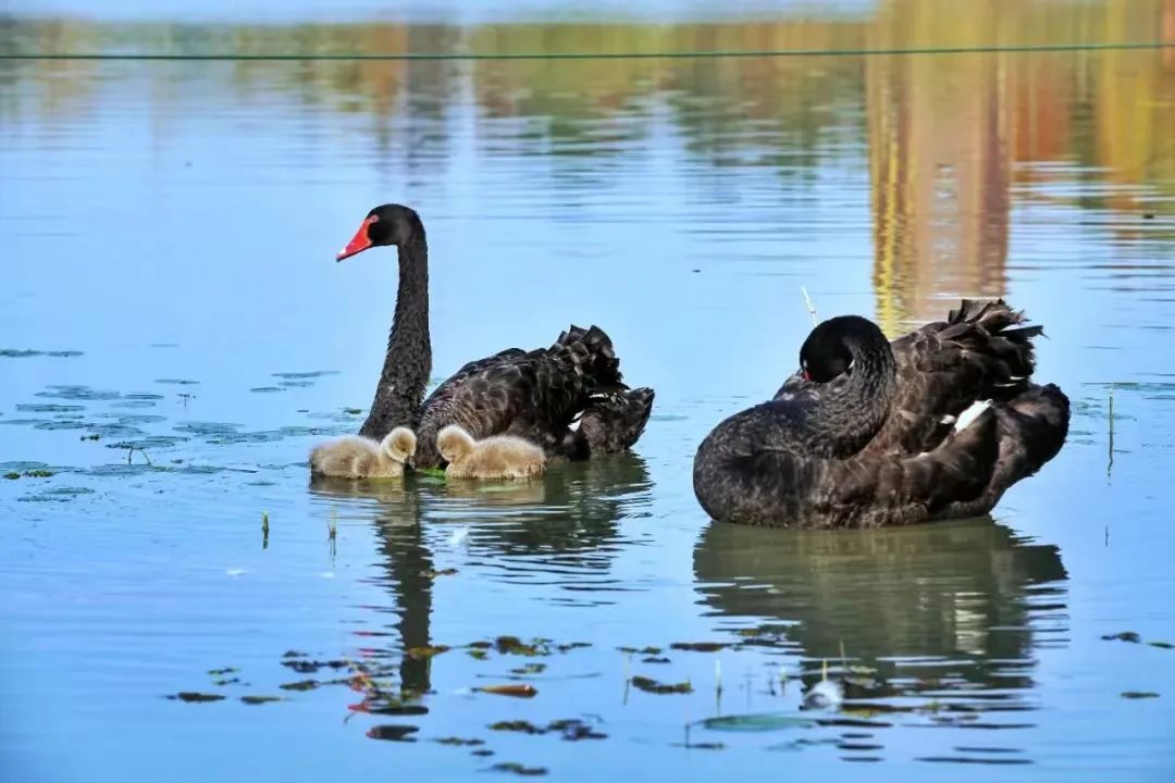 惊！在昆山，2元竟然可以做这么多事