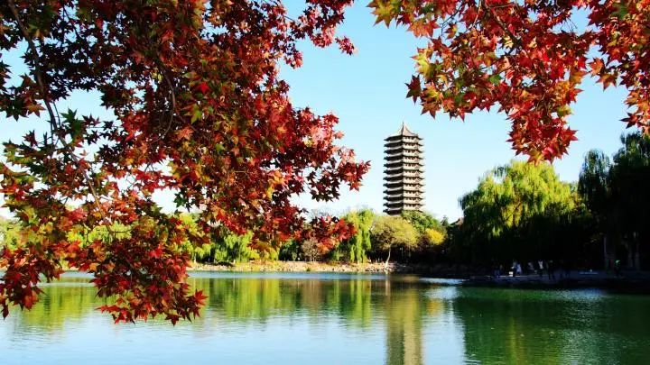 港大比较好申请的专业,港大最容易申请的专业有哪些