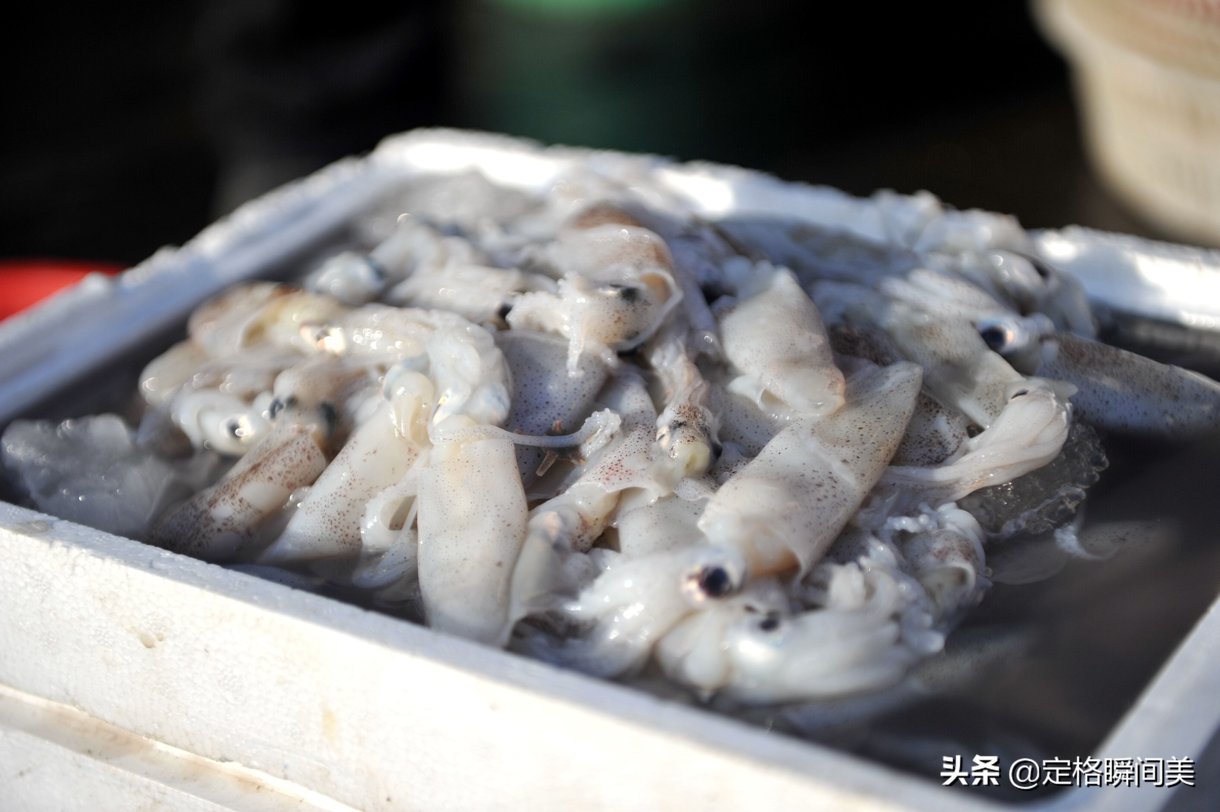 清明假期来青岛,别光惦记大虾尝尝这3样海货,刚捞上岸价格不贵