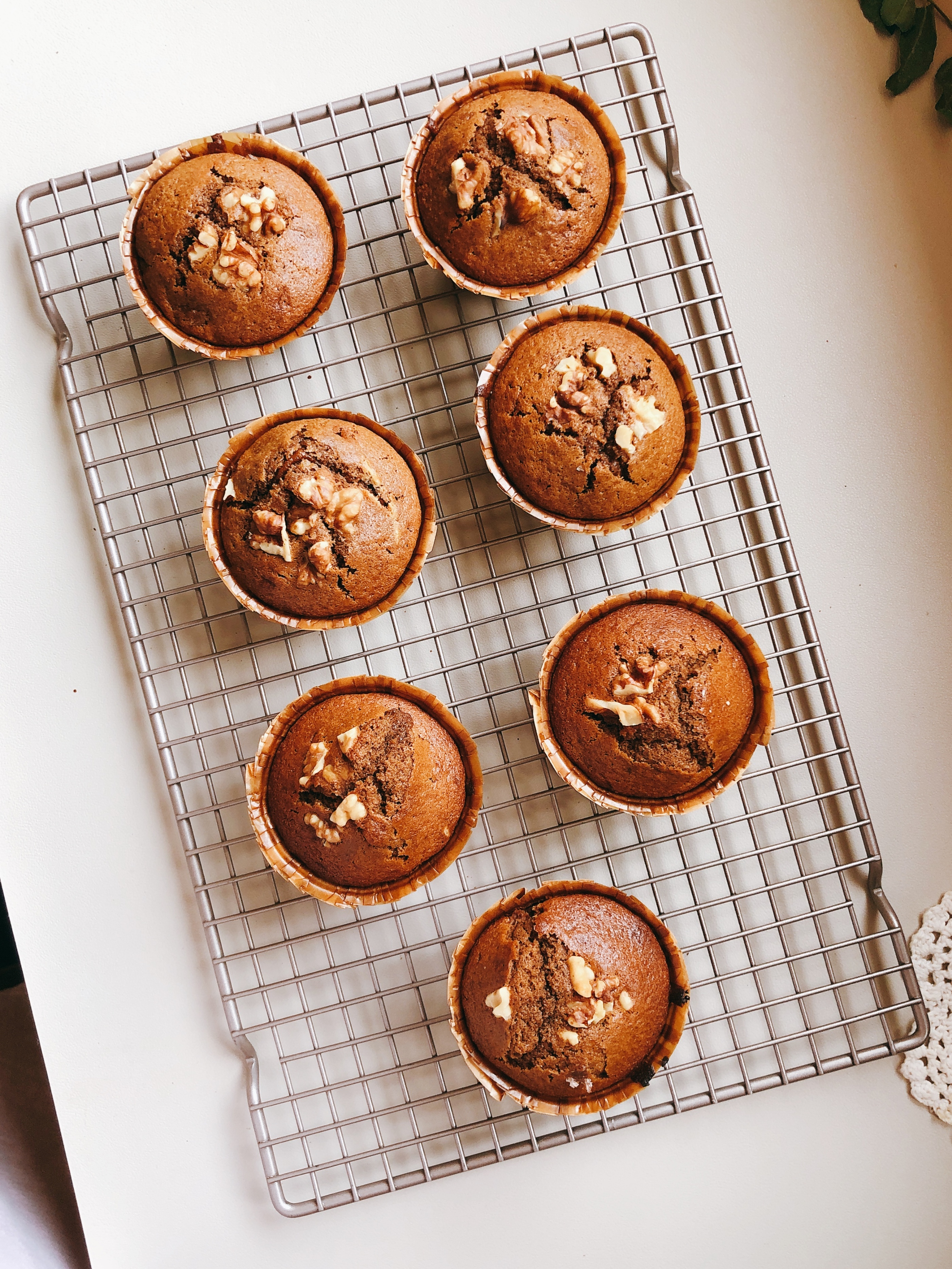 桂圆核桃蛋糕教程,红糖桂圆小蛋糕步骤