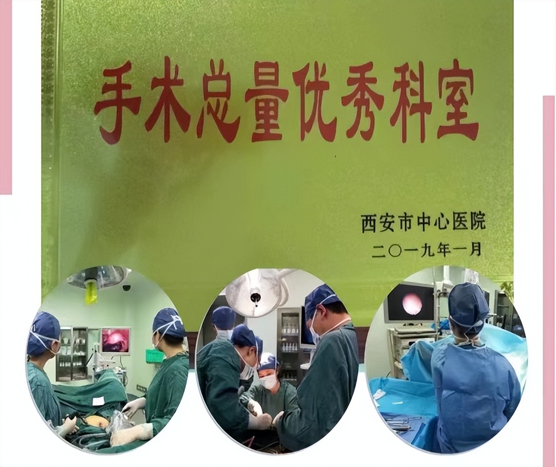 瀵绘壘鍘嗗彶鏂囧寲浼犳壙,杩藉鍘嗗彶瓒宠抗浼犳壙绾㈣壊鍩哄洜