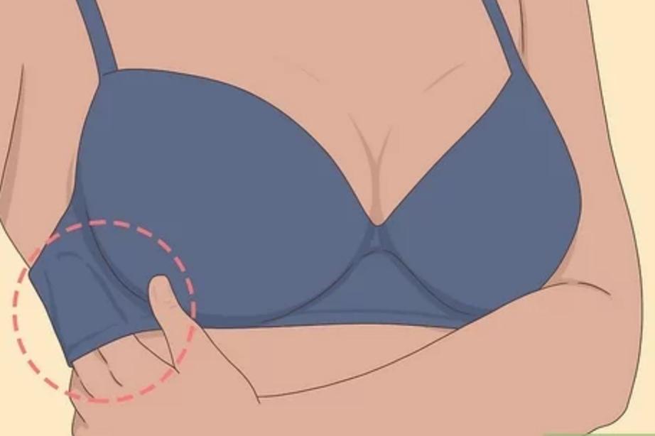 关于内衣内裤的绘本故事,有关于内衣的话题