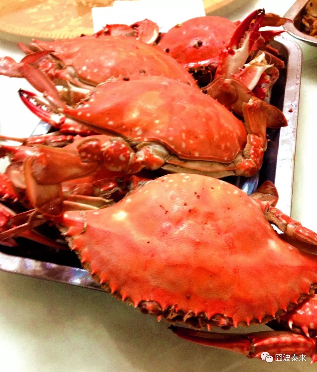 一碗鲜羊杂汤,热乎乎的一碗羊杂汤