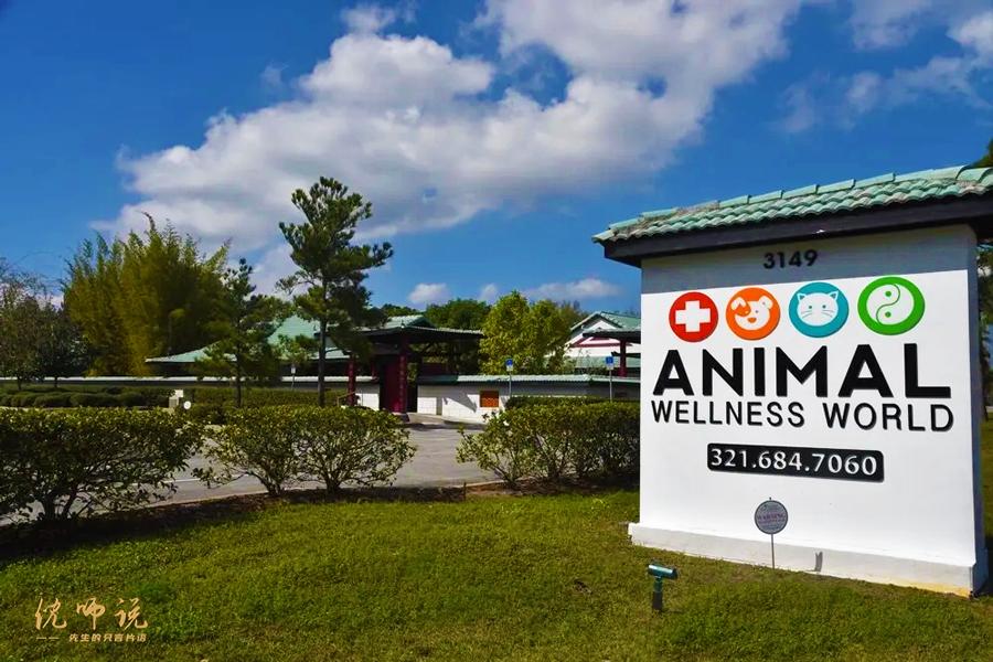 中医鬼才倪海厦的传奇人生,中医鬼才倪海厦传奇一生