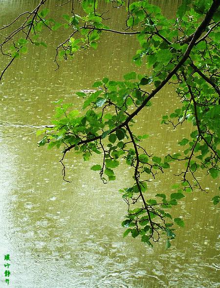 美女屏保动态壁纸高清唯美,50张顶级绝美图片动态壁纸