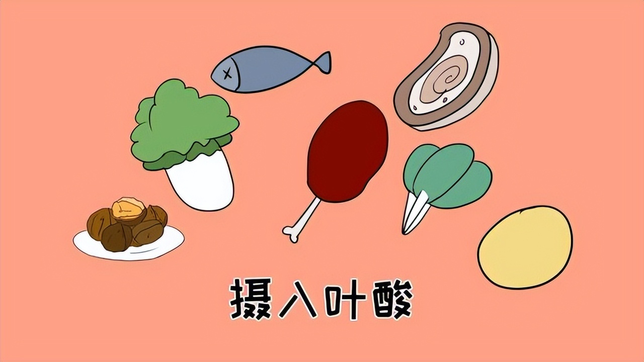 含叶酸多的食物和水果蔬菜有哪些,含叶酸和b族维生素的食物有哪些