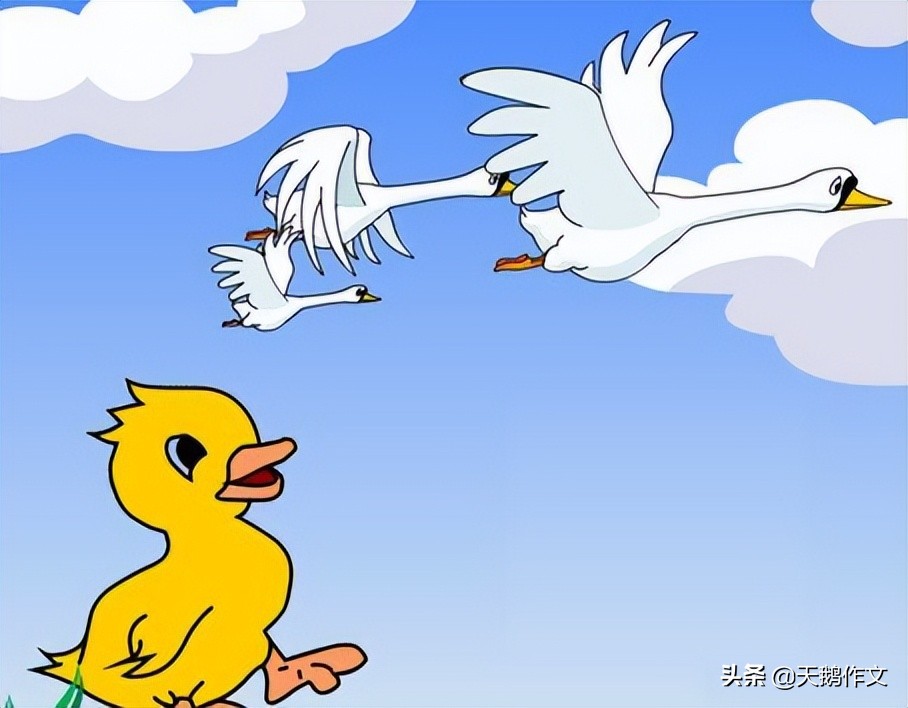 什么是作文赏析,什么是作文素材