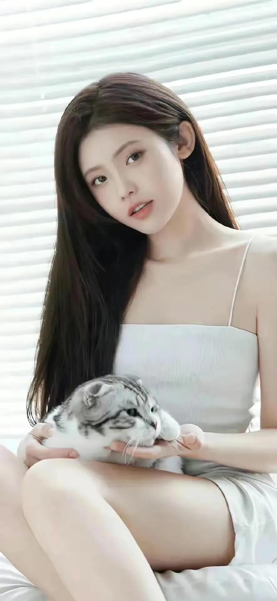 谁比烟花寂寞视频,谁比烟花寂寞沈晨