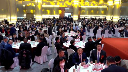 今安集团是干啥的,今安集团旗下公司