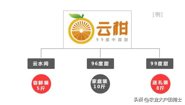 沃柑品牌策划核心竞争力如何提高,沃柑品牌推荐