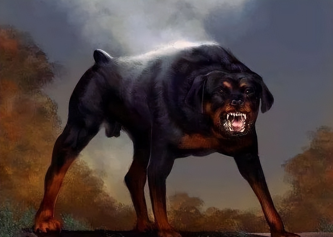 养罗威纳好处多，但是坏处也不少，养罗威纳6大坏处你知道吗？