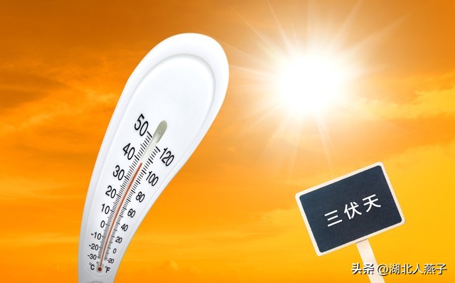 2022年头伏二伏三伏分别吃啥,2018年三伏天第三伏吃什么