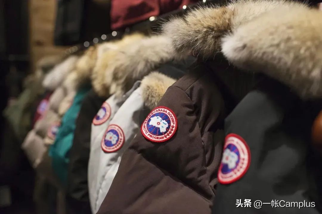 snowpeak进中国了吗,snowpeak上海