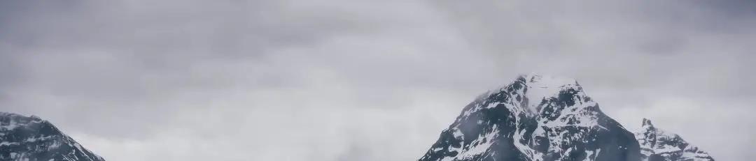 伊莉莎白瓷砖定制,伊莉莎白瓷砖一线品牌