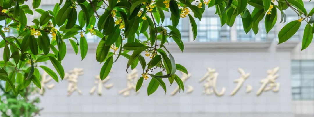 电子科技大学国际本科招生简章,电子科技大学国际学院招生简章