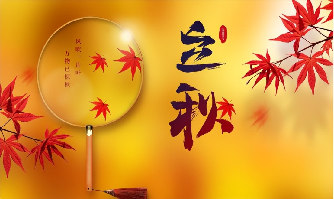 入秋能喝菊花茶吗,立秋可以喝枸杞菊花茶吗