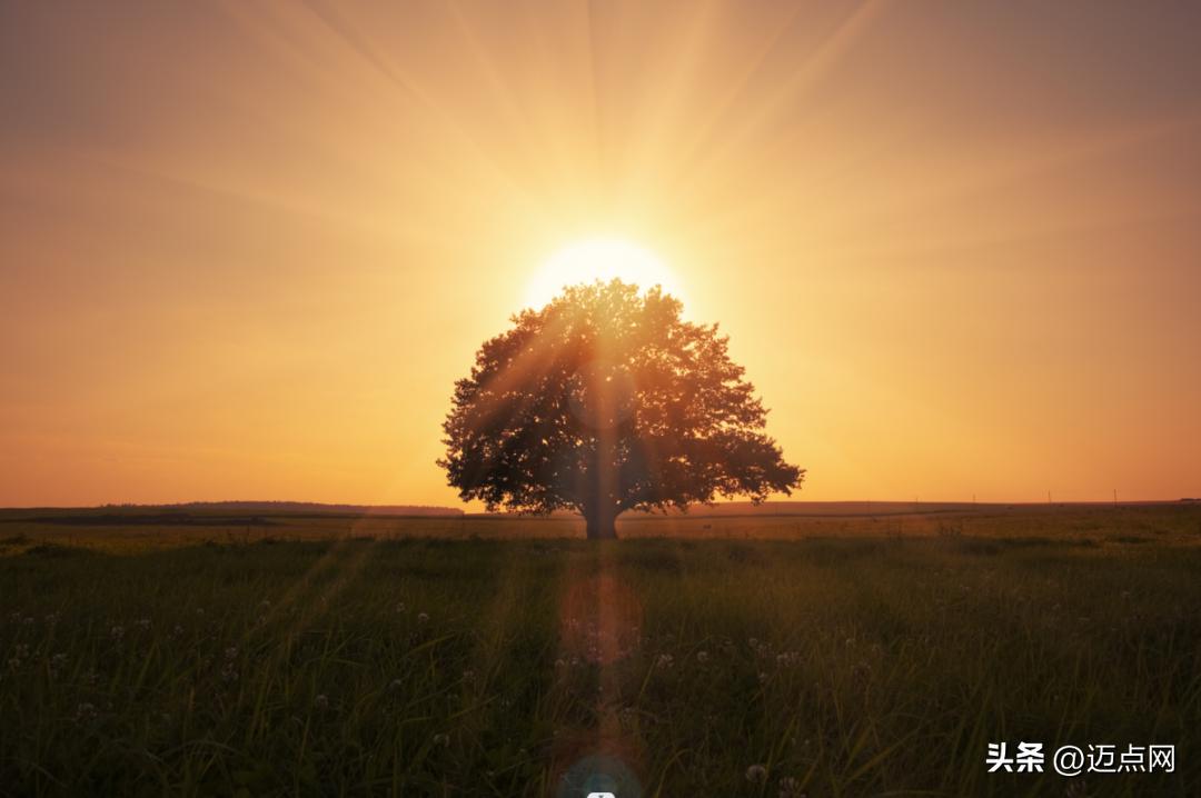 万科泊寓发展现状,泊寓和万科的区别