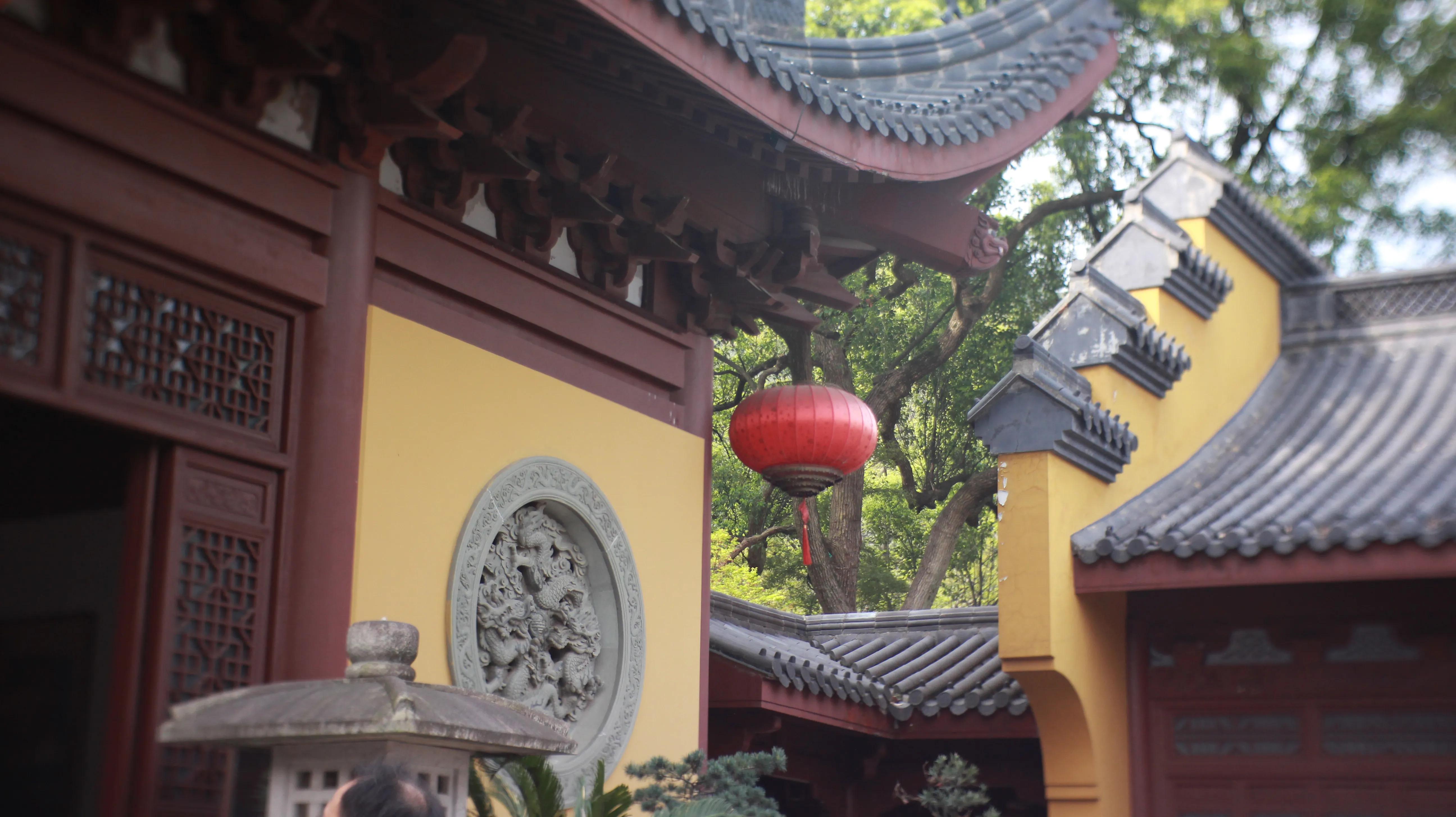 杭州旅游门票预约,杭州长乔极地海洋公园门票