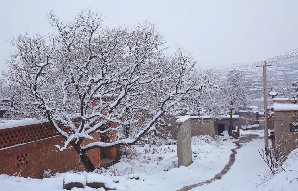 进入冬季数九哪几个九最冷,什么时候开始数九今年最冷的