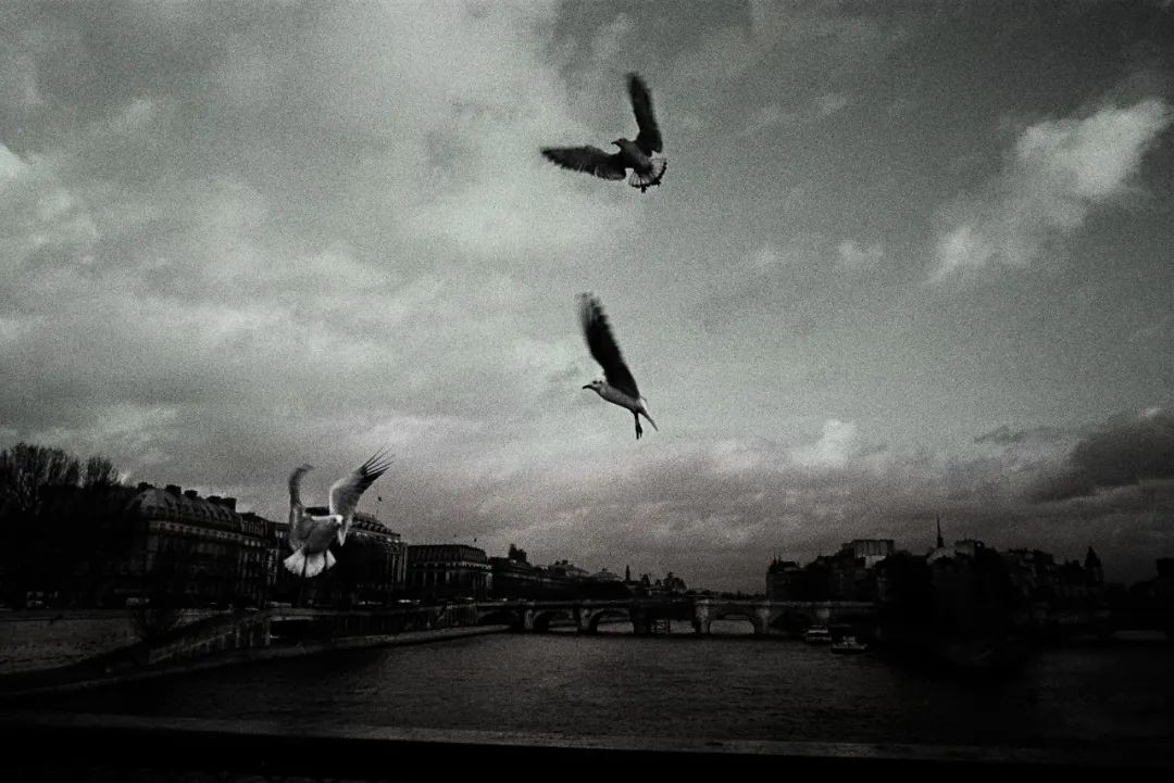 火花思维高磊,励志青年高磊