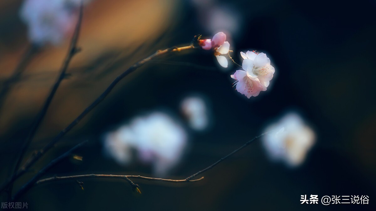 清明前三后四忌讳什么,上坟前三后后四包括清明这天吗