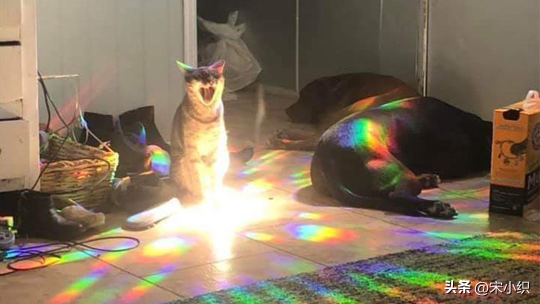 22年上升巨蟹运势,年底前运势大运转的四大星座