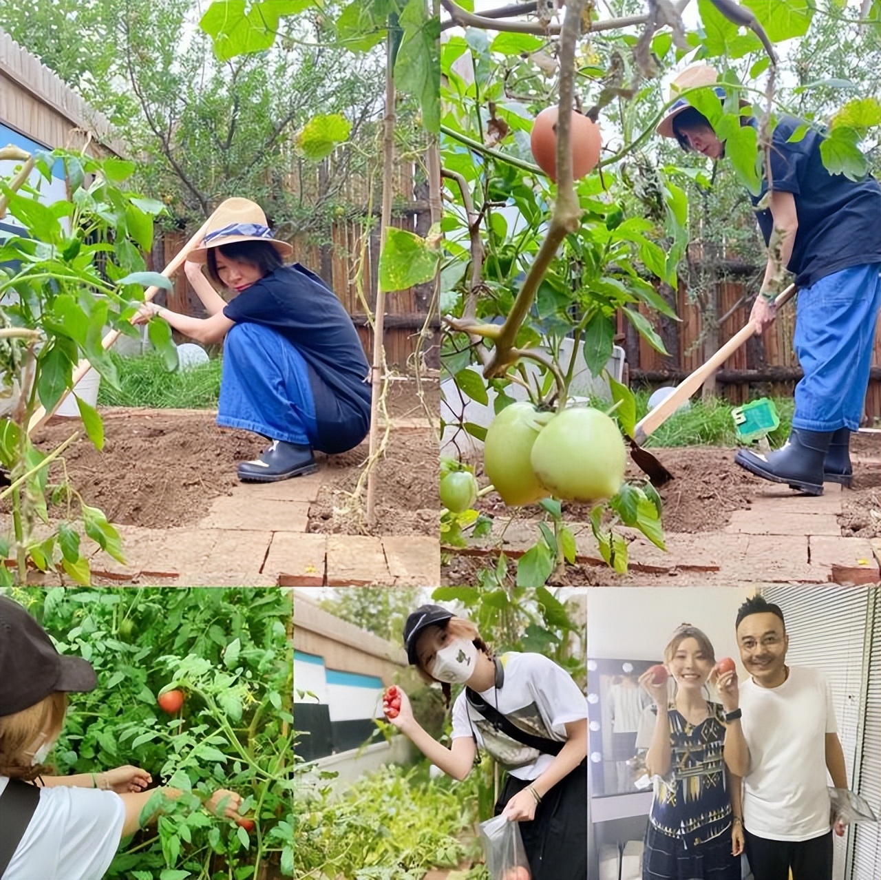 黄雅莉院子视频,黄雅莉在北京的房子