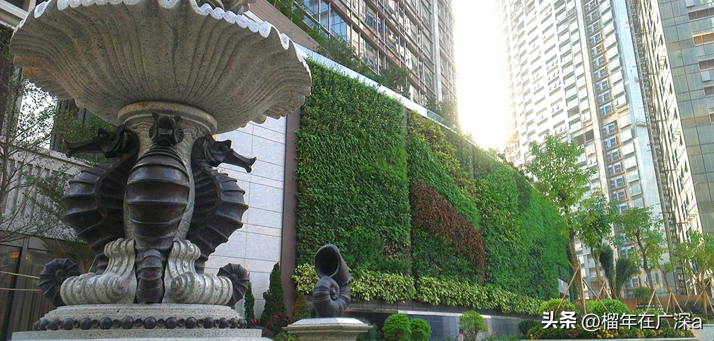 东海国际公寓最新楼盘,亚洲十大豪宅海景房