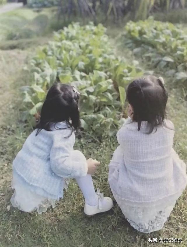 谢娜首晒小咘芽近照,谢娜小咘芽百天照