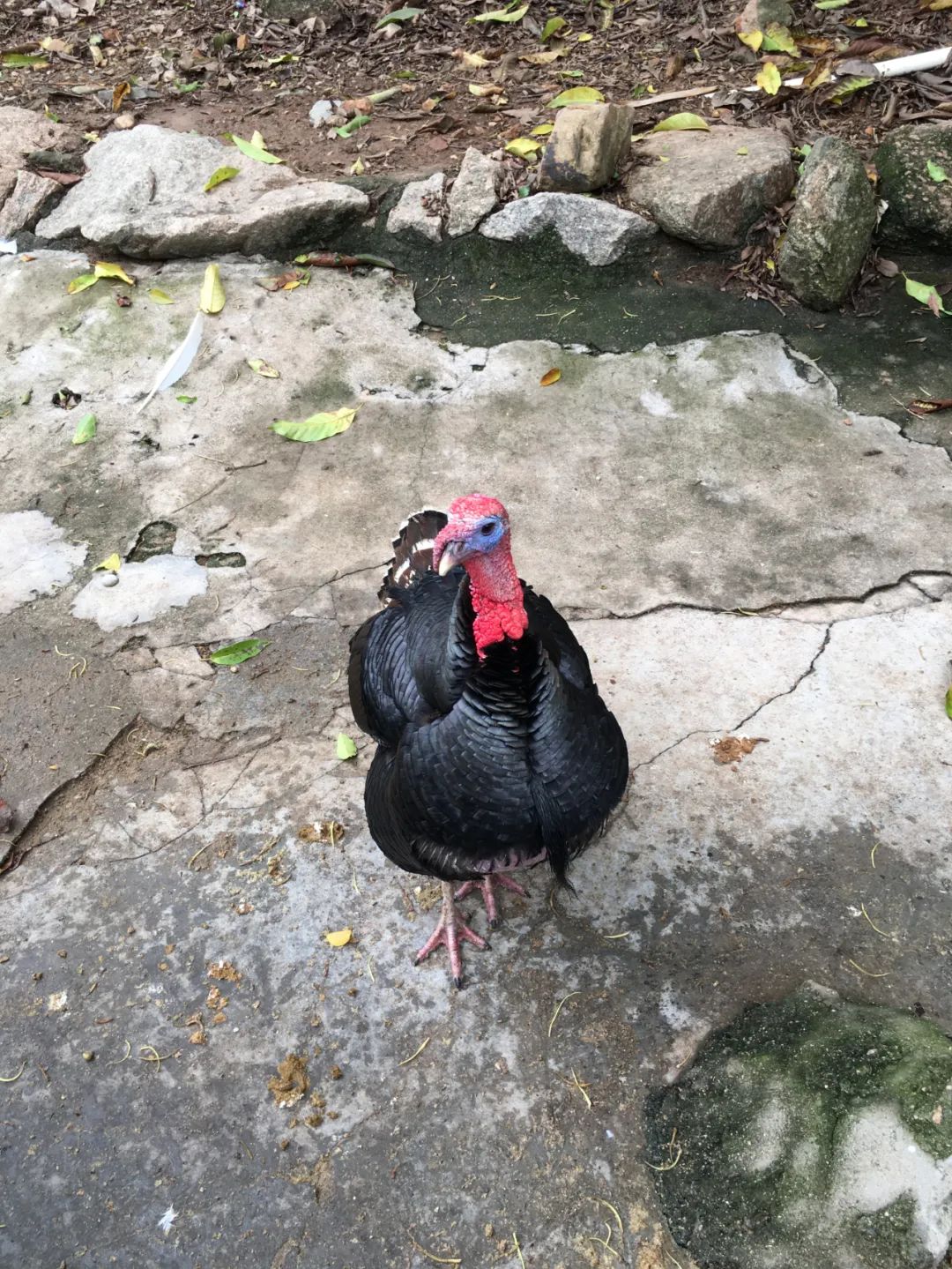 旭光电动车行,旭光车行向阳路