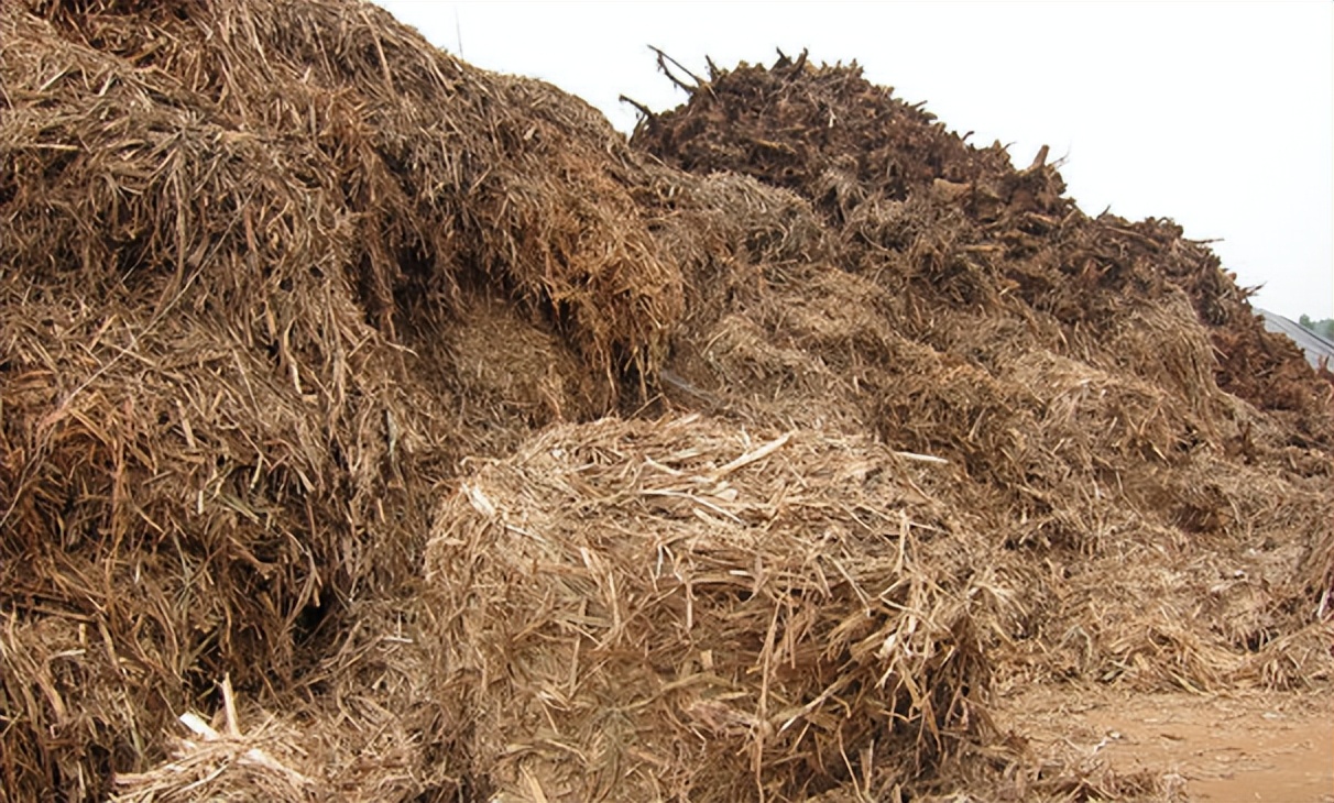 农村种地靠什么致富,在农村关于种地有什么商机赚到钱