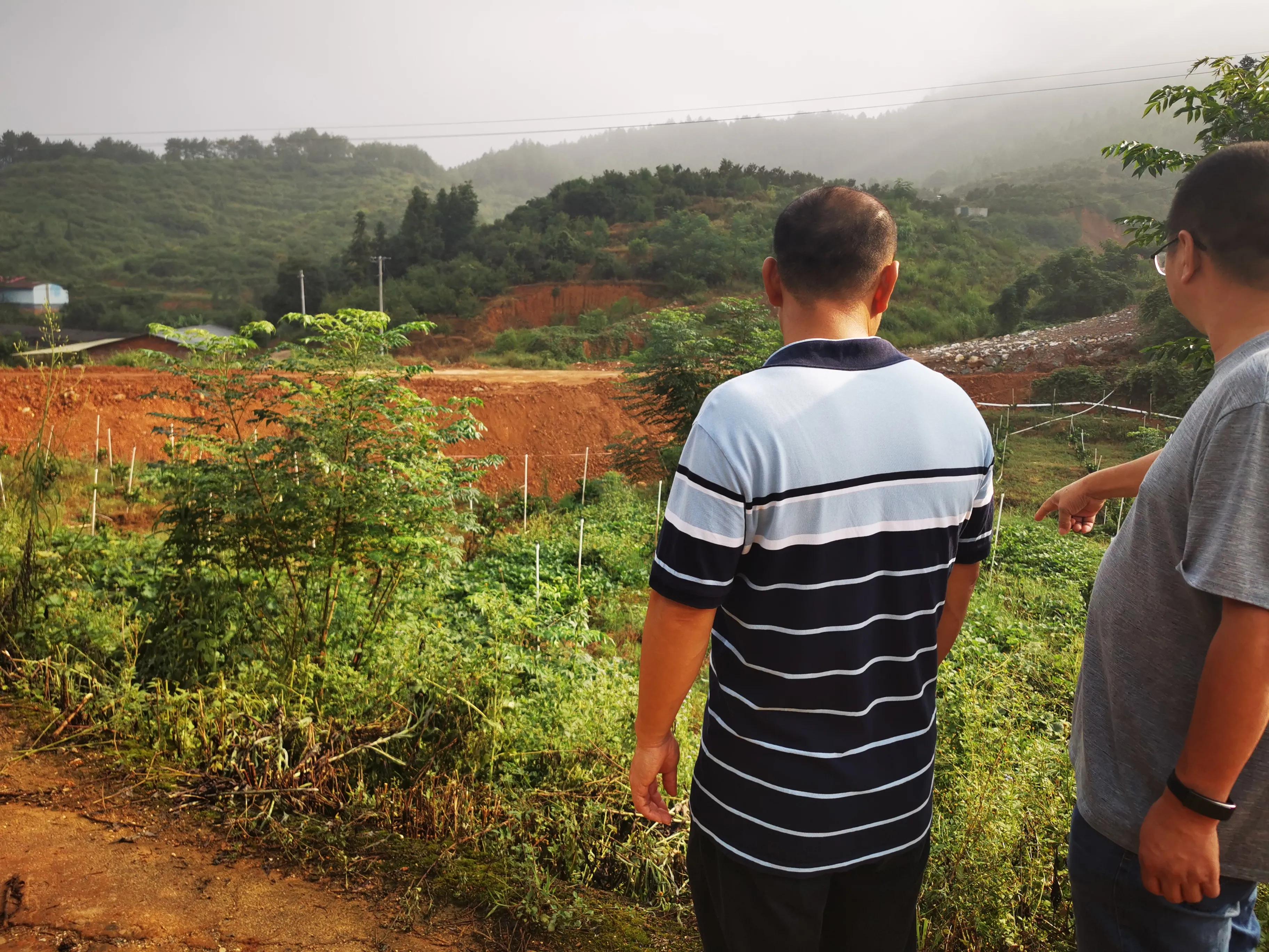 农业十大创业模式,农业项目合伙人模式