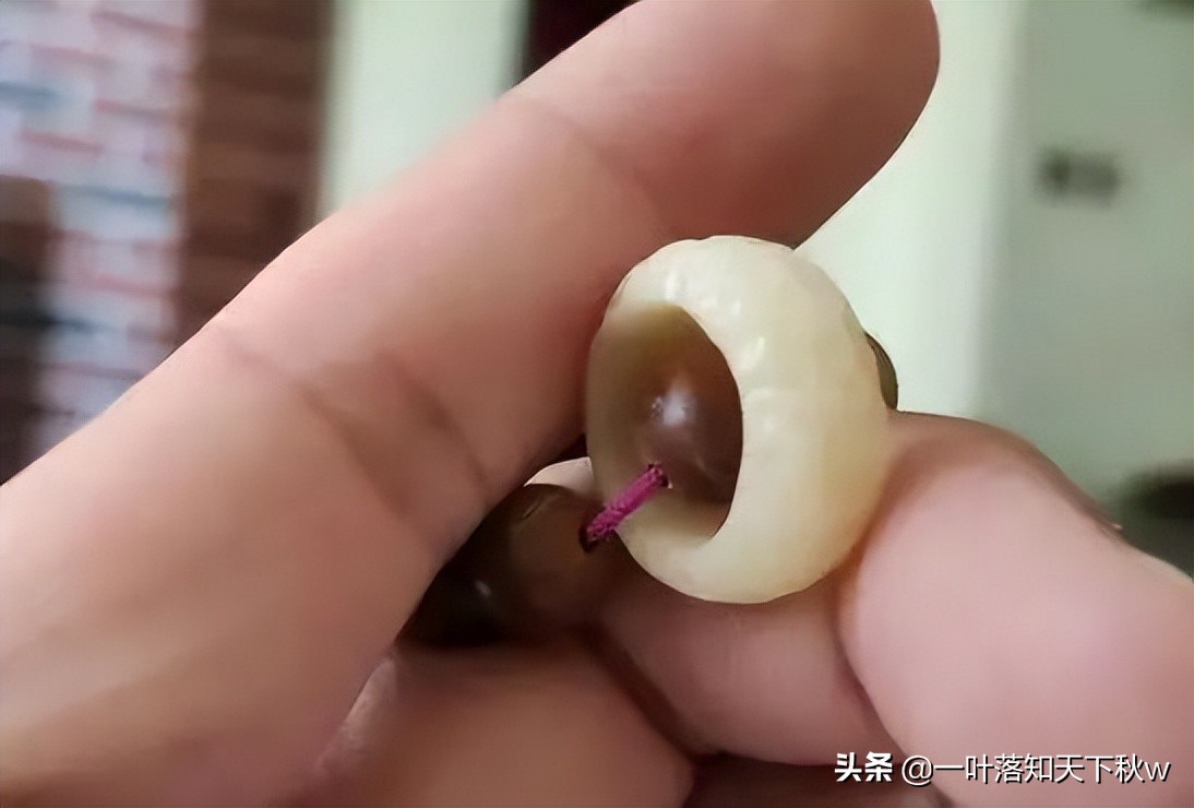 这四种文玩越玩越值钱你有吗,能盘透的几种文玩