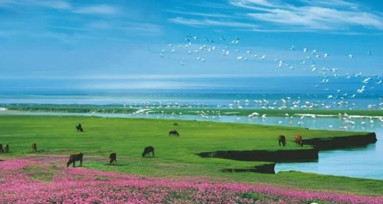 江西最美十大景点,江西最美的十大风景区排名