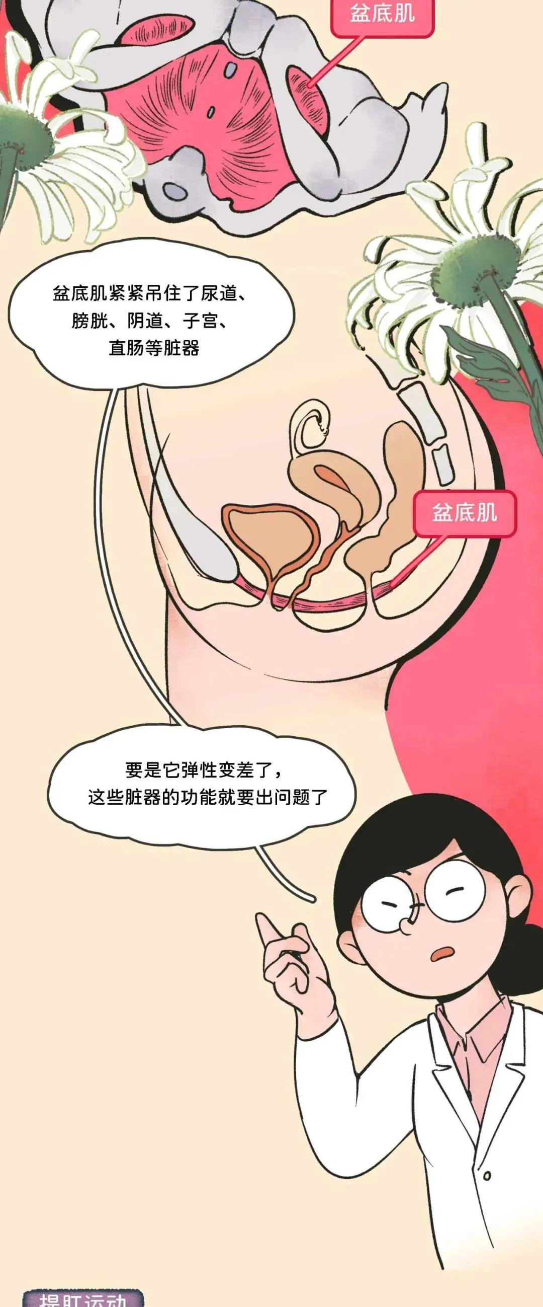 经常提肛的女生到底有多强？中年少女的福利！（漫画）