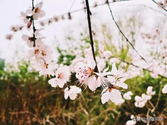 关于十月十五的谚语,农历十月谚语你知道多少呢