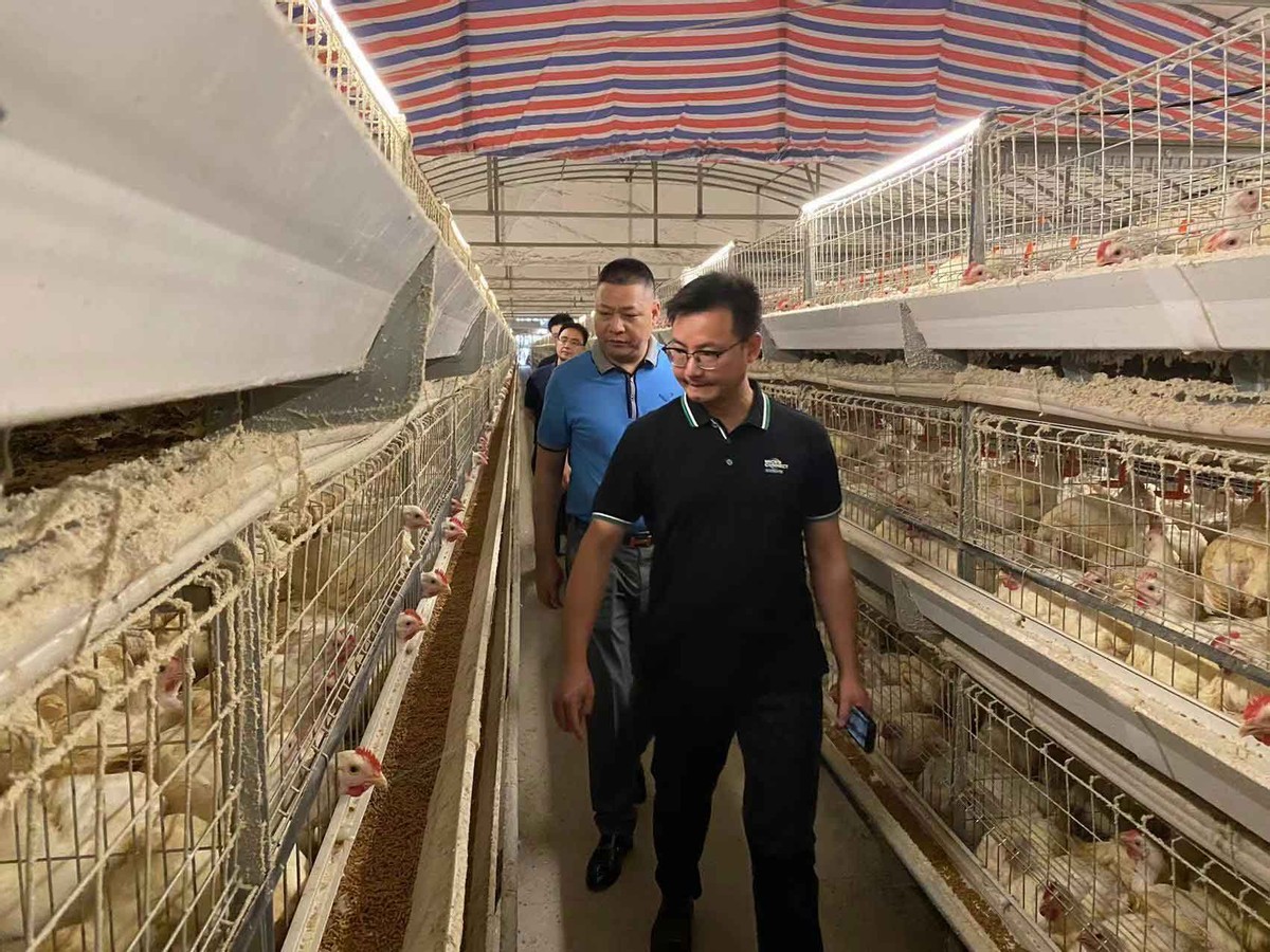 健安动态|滴灌通副总裁陈华景到访健安集团座谈交流