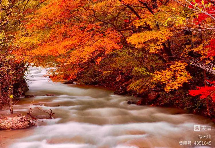 画意风光,画意风光摄影